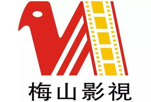 關(guān)于梅山影視廣播電視節(jié)目制作經(jīng)營(yíng)的鄭重聲明